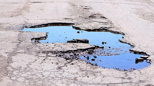 A pothole filled with water - good for ducks bad for cars