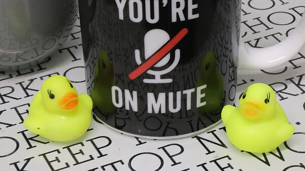 Phil the pothole duck