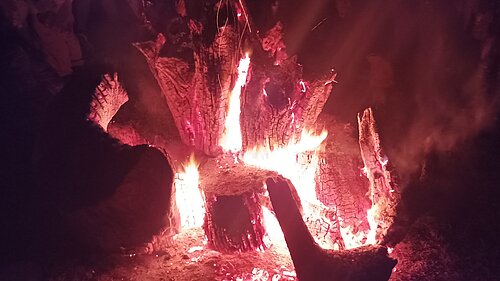 Bonfire / burning logs