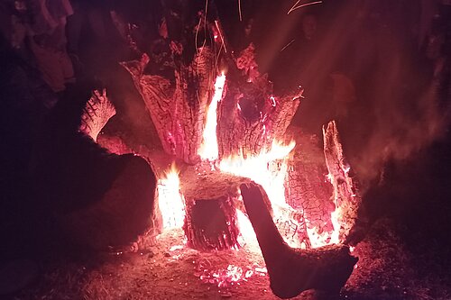 Bonfire / burning logs