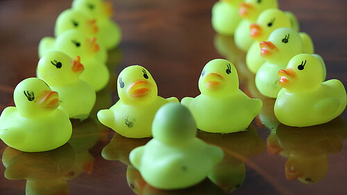 Phil the duck and his friends are on a mission to fill potholes.